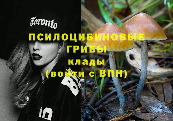 альфа пвп Бугульма